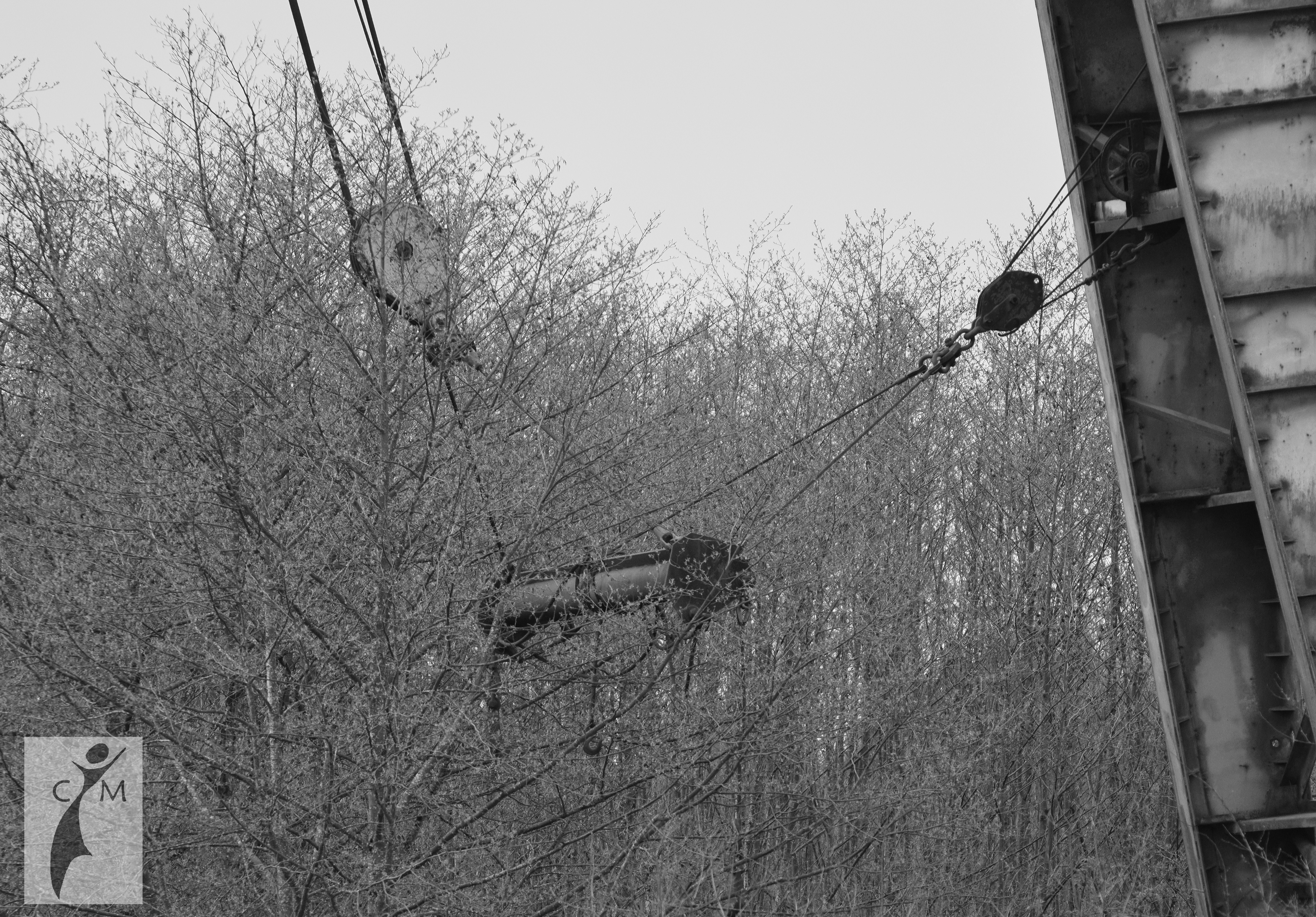 Rusting Crane on the Snohomish River