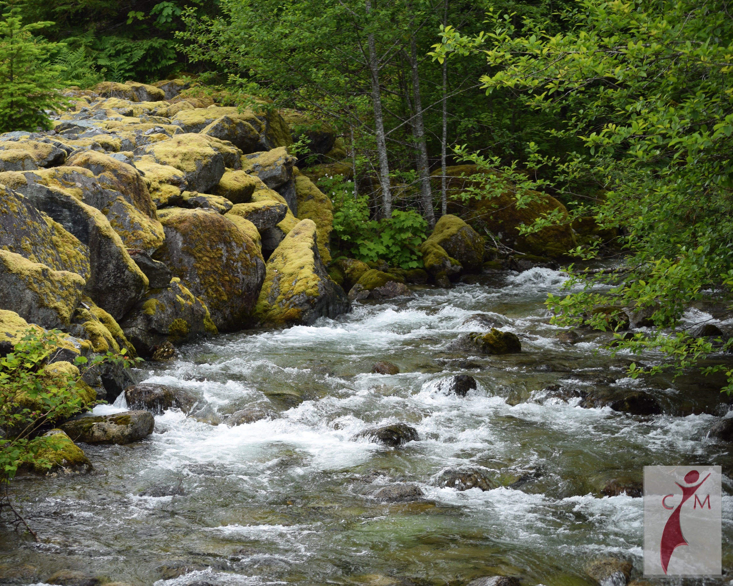 Skagit River with boulders and trees