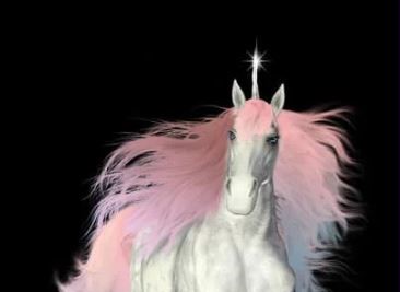 Life is not all unicorn farts and sprinkles.